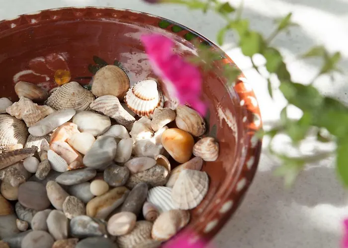 Klery - 5 Apartamento