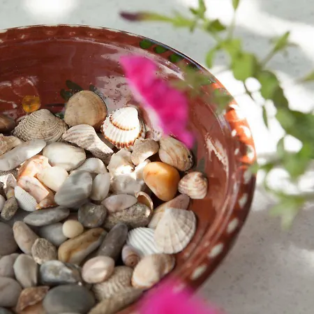 Klery - 5 アパート